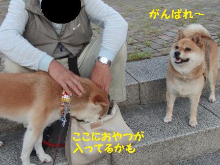 がんばれ