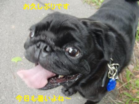 福造くん