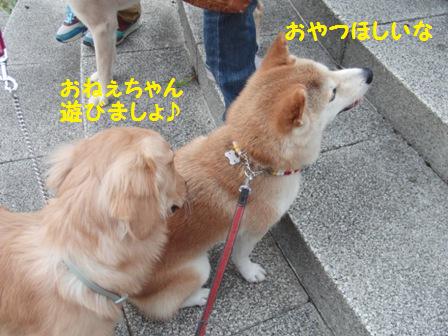 遊びましょ