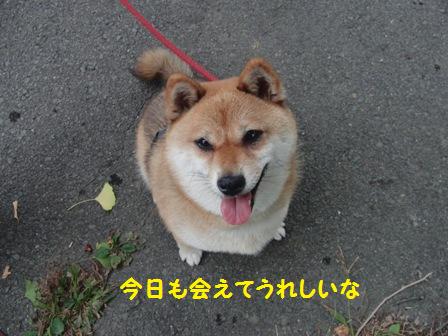 さくらちゃん