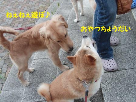 ねぇねぇ