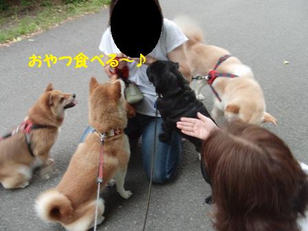 おやつ