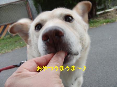 もんどくん