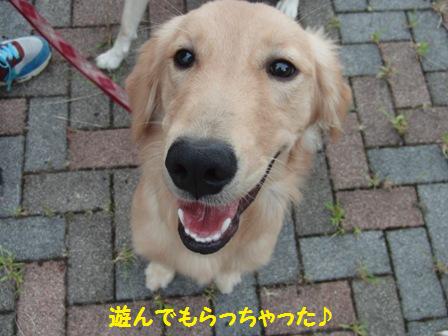 遊んでもらった