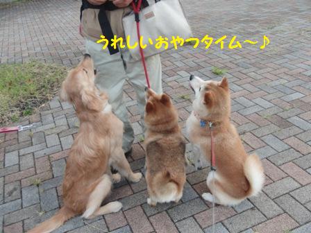 おやつタイム
