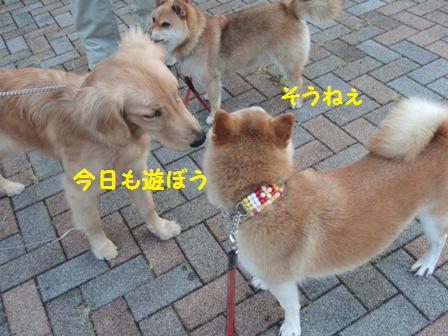 遊ぼう