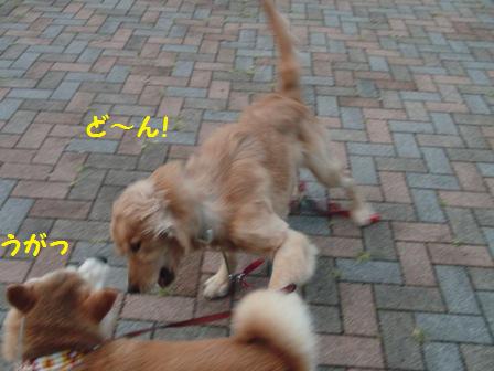 うがっ
