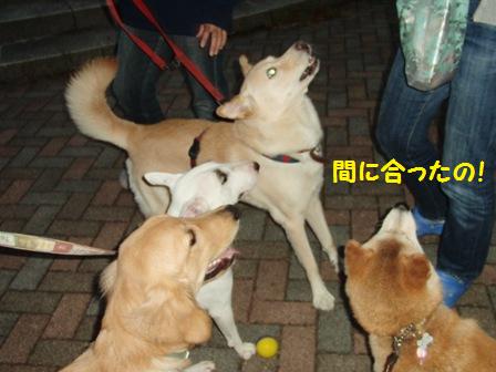 間に合った