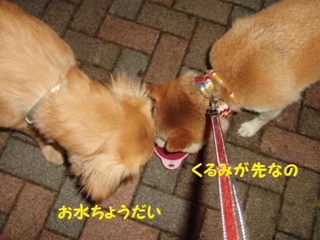 お水