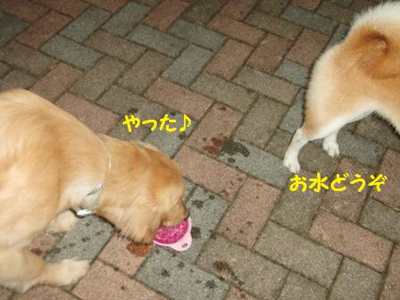 どうぞ