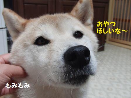 おやつほしい