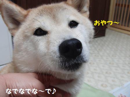 おやつ~