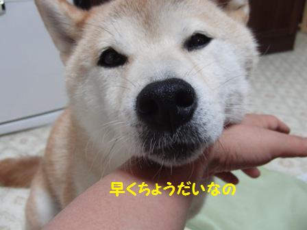 早くちょうだい
