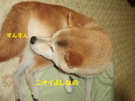 ニオイよし