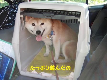たっぷり