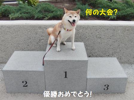 優勝