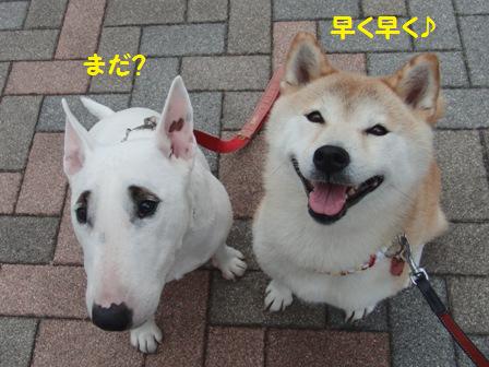ぴったり