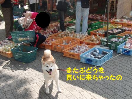 ぶどう