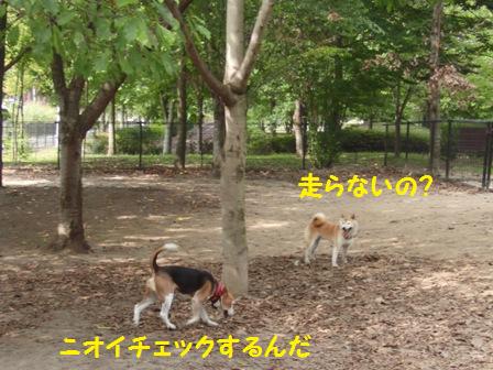ニオイチェック