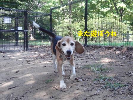 またね