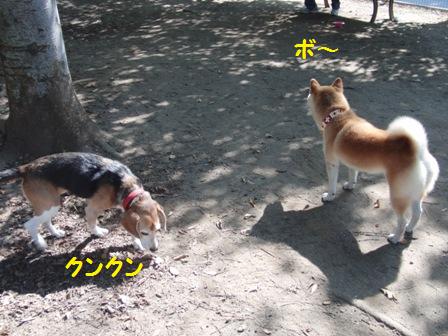 クンクン