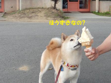 ほうずきジェラード