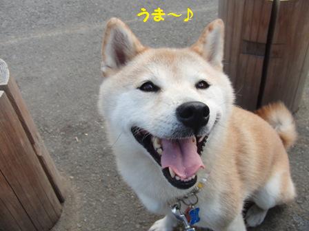 うま~