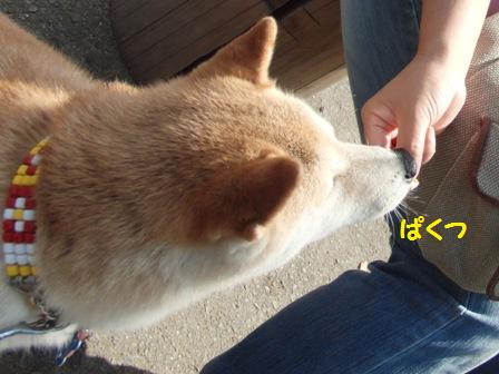 ぱくっ