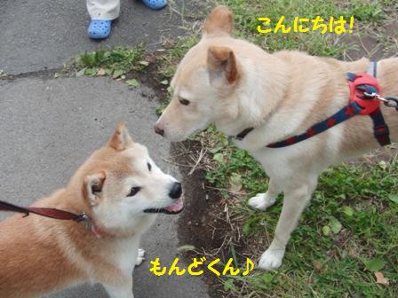 もんどくん