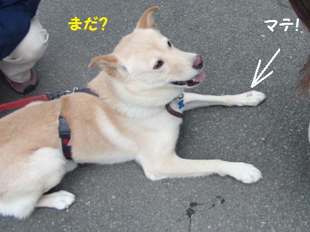 お手手におやつ