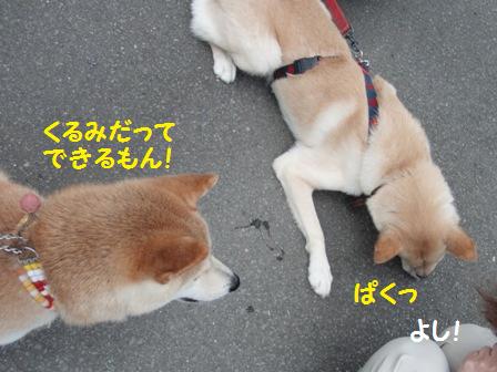できるもん