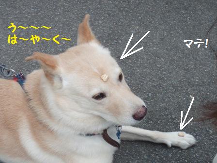 お手手とおでこ