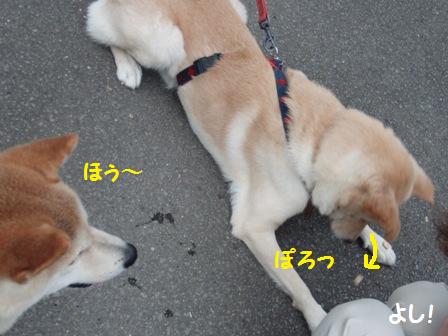 ほぅ~