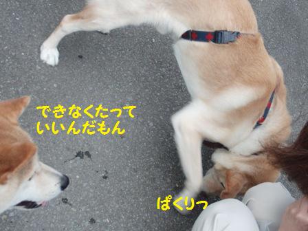 できなくてもいいもん