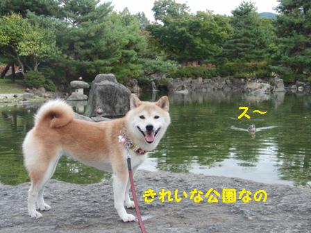 きれい