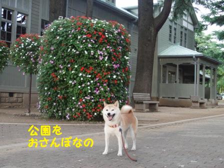 あがたの森公園