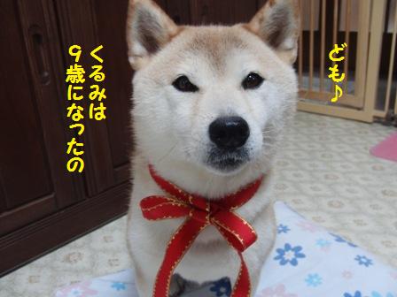 9歳