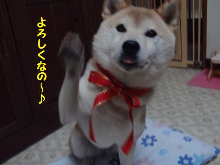 よろしく