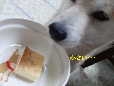 ケーキ