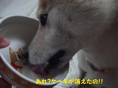 消えた
