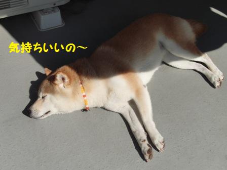 気持ちいい