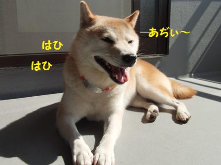 あぢぃ~