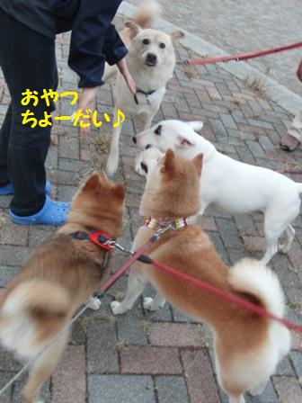 おやつ