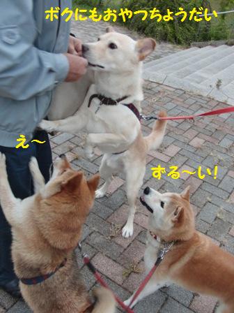 ボクも