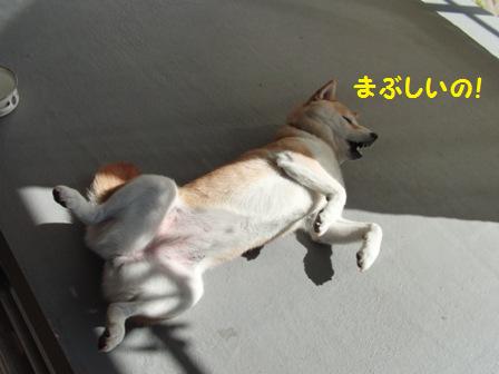 まぶしい