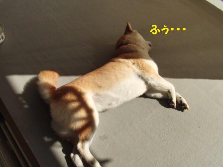 ふぅ