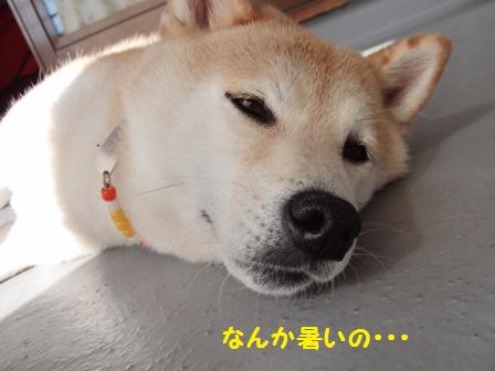 暑い