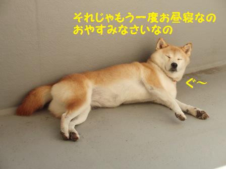 おやすみなさい