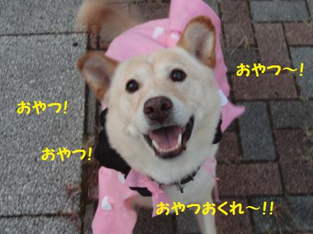 もんどくん