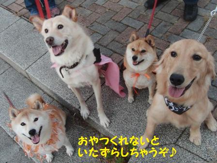 いたずらしちゃうぞ
